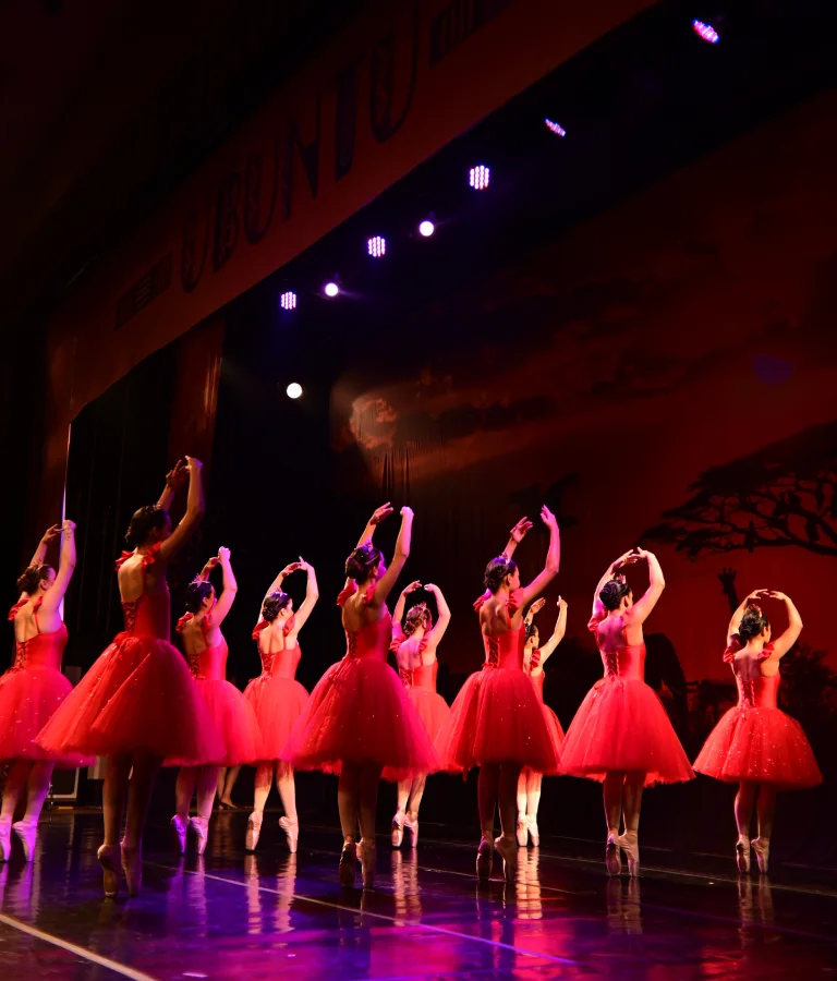 img-s (11)